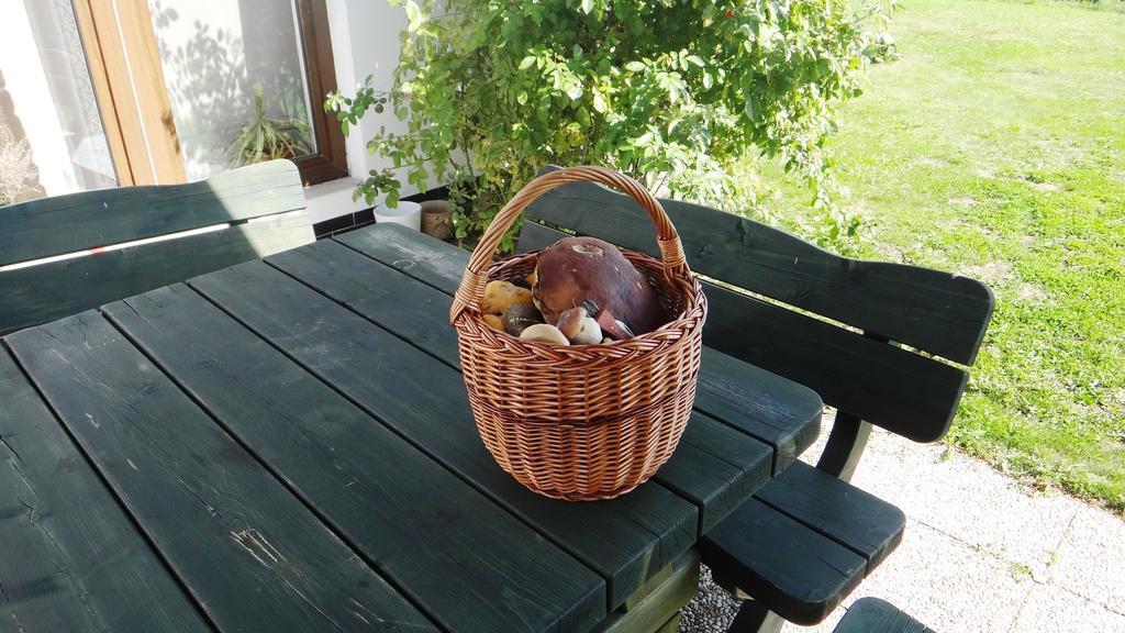 Villa Prazdninovy Dum - Pacl Červená Řečice Zimmer foto